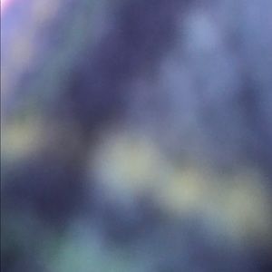 Meet your Posher, Tricia